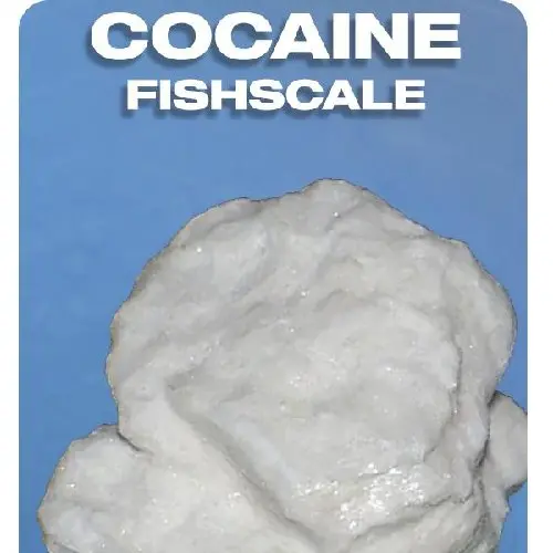 COCAINE | FISHSCALE