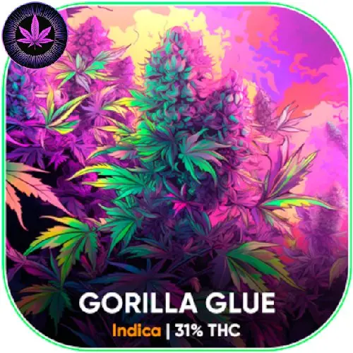 GORILLA GLUE