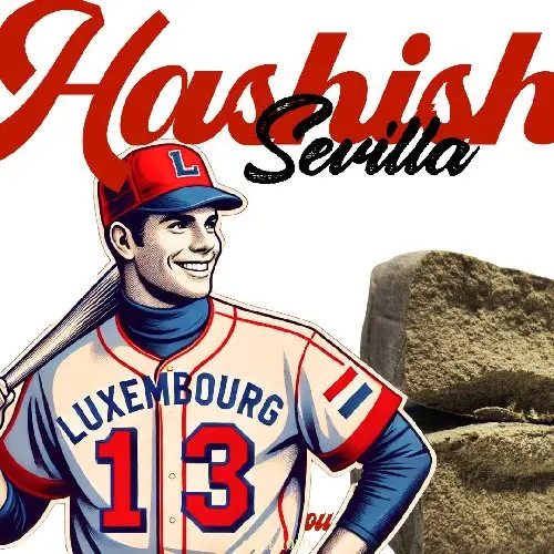 Hashish Sevilla 70/30